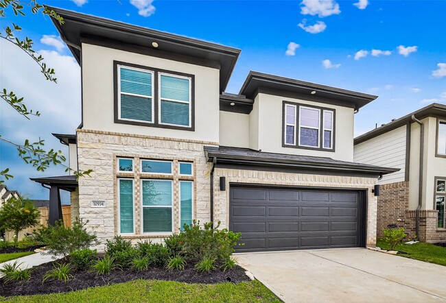 10934 White Mist Dr in Missouri City, TX - Foto de edificio - Building Photo