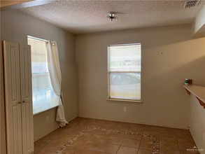 3908 Xanthisma Ave in McAllen, TX - Building Photo - Building Photo