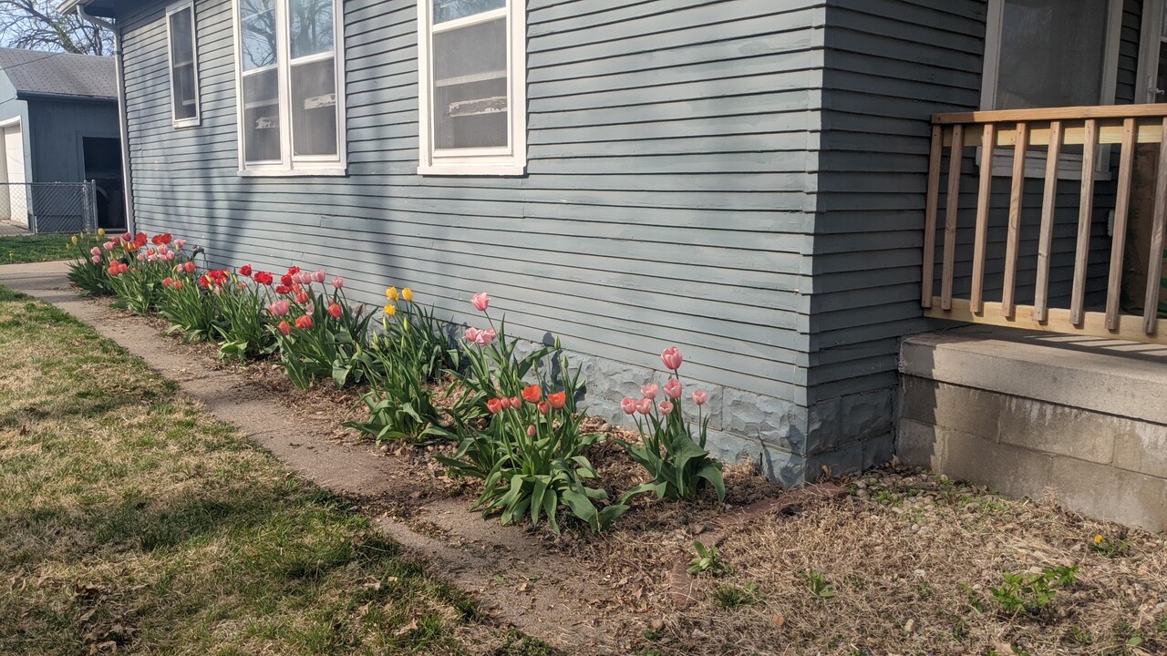 7765 Maywood St in Ralston, NE - Foto de edificio