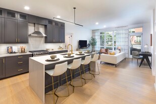 Modera Cherry Creek Apartments