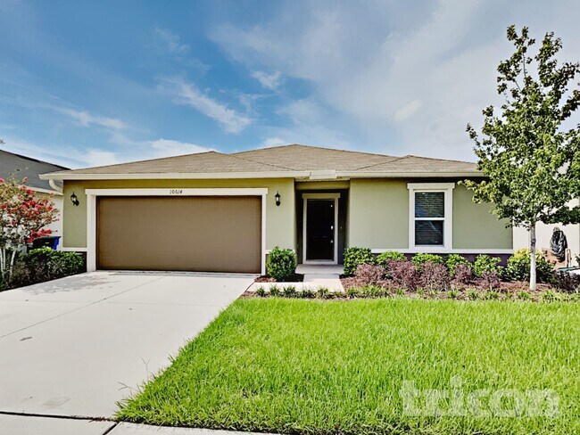 10614 Massimo Dr in Wimauma, FL - Building Photo - Building Photo