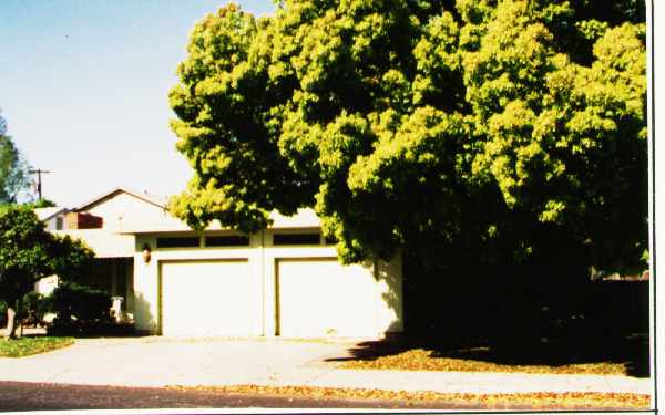 1009 S Lee Ave in Lodi, CA - Foto de edificio