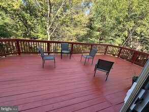 13044 Rose Petal Cir in Herndon, VA - Building Photo - Building Photo