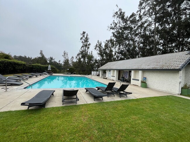 property at 4101 Eucalyptus Ln