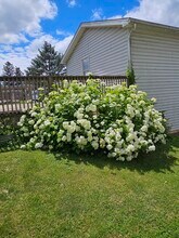 100 Kuhns Ln in State College, PA - Building Photo - Building Photo