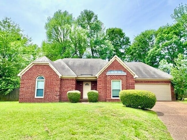 8517 Timber Run Cove