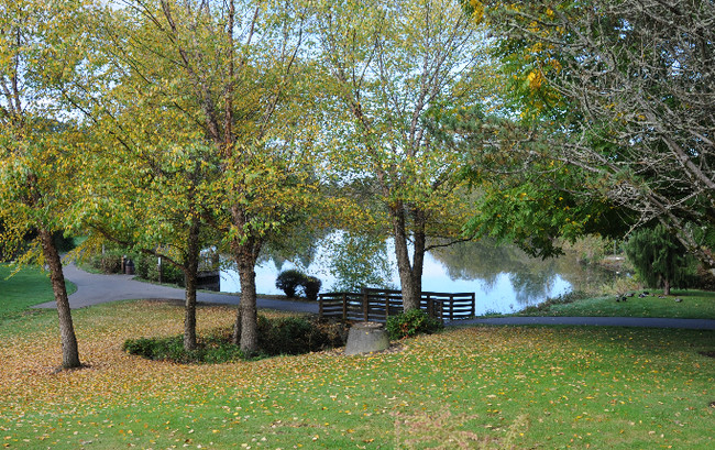 Park Lake in Beaverton, OR - Foto de edificio - Building Photo