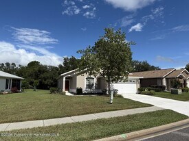 14501 Silversmith Cir in Spring Hill, FL - Building Photo