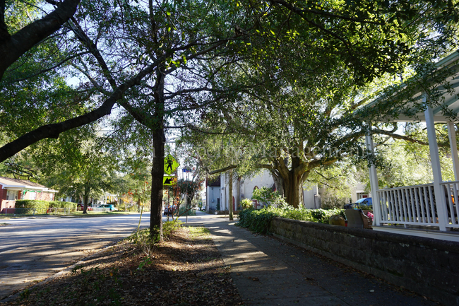 518 Grace St in Wilmington, NC - Foto de edificio - Building Photo