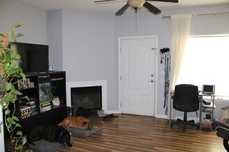 10320 W 55th Ln in Arvada, CO - Building Photo - Building Photo