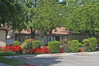 Willow Wood Apartments in Fresno, CA - Building Photo - Building Photo