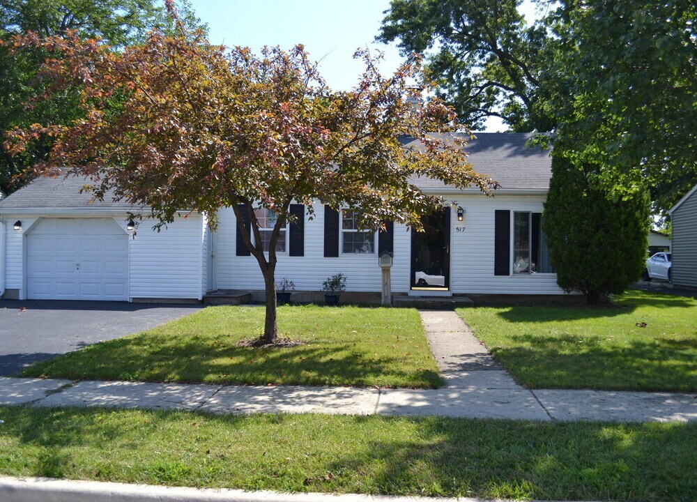 517 Everette Ave in Romeoville, IL - Building Photo