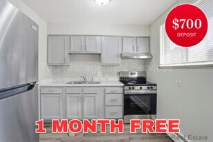 970 N Downing St in Denver, CO - Building Photo