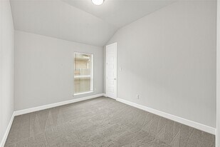 24831 Hibiscus Gdn Wy in Katy, TX - Building Photo