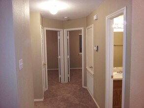 204 Quail Hollow Dr in Hutto, TX - Building Photo - Building Photo