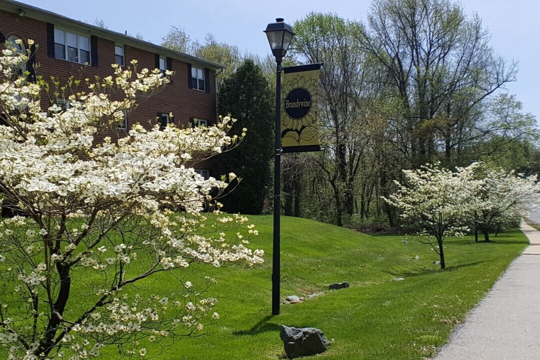 Brandywine Apartments in Wilmington, DE - Foto de edificio