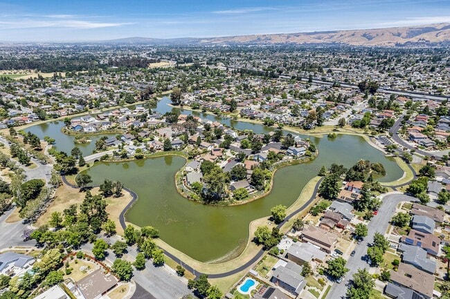 5246 Hebrides Ct in Newark, CA - Building Photo - Building Photo
