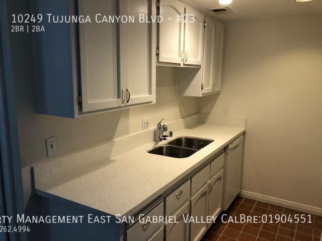 10249 Tujunga Canyon Blvd in Los Angeles, CA - Building Photo