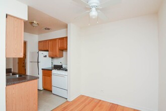 533 W Aldine Ave in Chicago, IL - Building Photo - Building Photo
