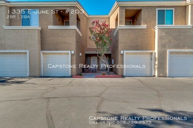 1335 E June St in Mesa, AZ - Building Photo - Building Photo