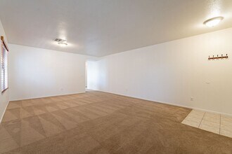 12957 N Desert Olive Dr in Oro Valley, AZ - Building Photo - Building Photo