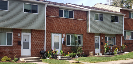 1028 Bridge St in Kalamazoo, MI - Foto de edificio - Building Photo