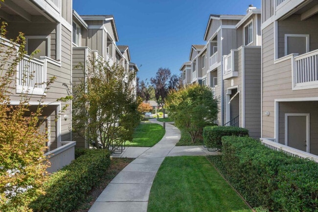 718 Old San Francisco Rd in Sunnyvale, CA - Foto de edificio - Building Photo