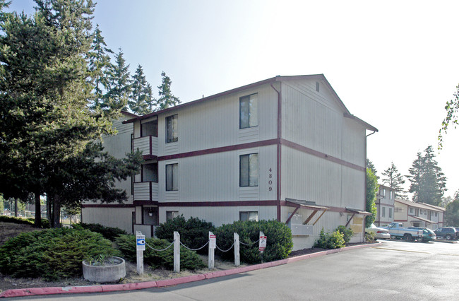 Springtree Apartments in Lakewood, WA - Building Photo - Building Photo