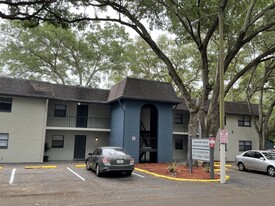 307 Elizabeth St, Unit 101 in Brandon, FL - Foto de edificio - Building Photo