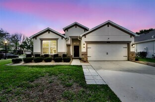21654 Billowy Jaunt Dr in Land O Lakes, FL - Building Photo
