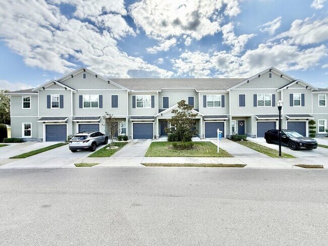 10971 Quickwater Ct in Riverview, FL - Building Photo - Building Photo