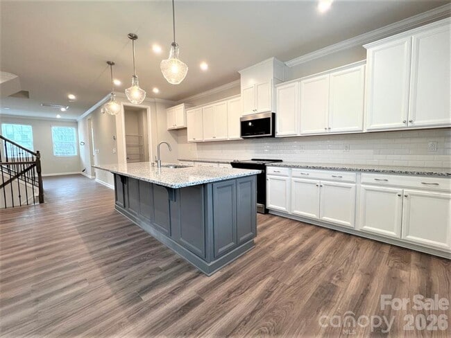 16628 Summers Walk Blvd in Davidson, NC - Building Photo - Building Photo