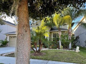 20418 Carolina Cherry Ct in Tampa, FL - Building Photo - Building Photo