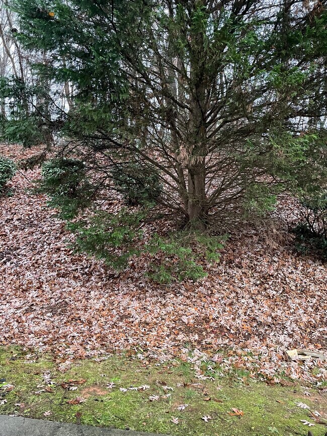 5307 Strasburg Dr in Greensboro, NC - Building Photo - Building Photo