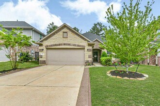 123 Buttonwood Ct in Willis, TX - Building Photo - Building Photo