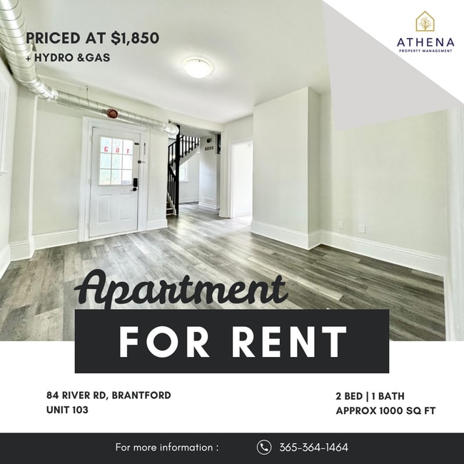 property at 84 River Rd