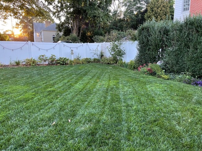 126 East Ave in New Canaan, CT - Building Photo - Building Photo