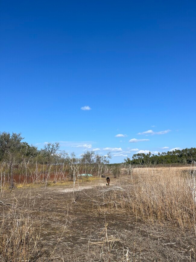 2894 River Lake Dr in Chipley, FL - Foto de edificio - Building Photo