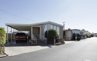 Magnolia Lane Mobile Park Apartments