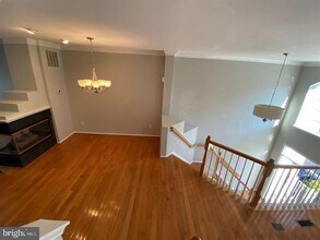 11506 Wild Hawthorn Ct in Reston, VA - Building Photo - Building Photo