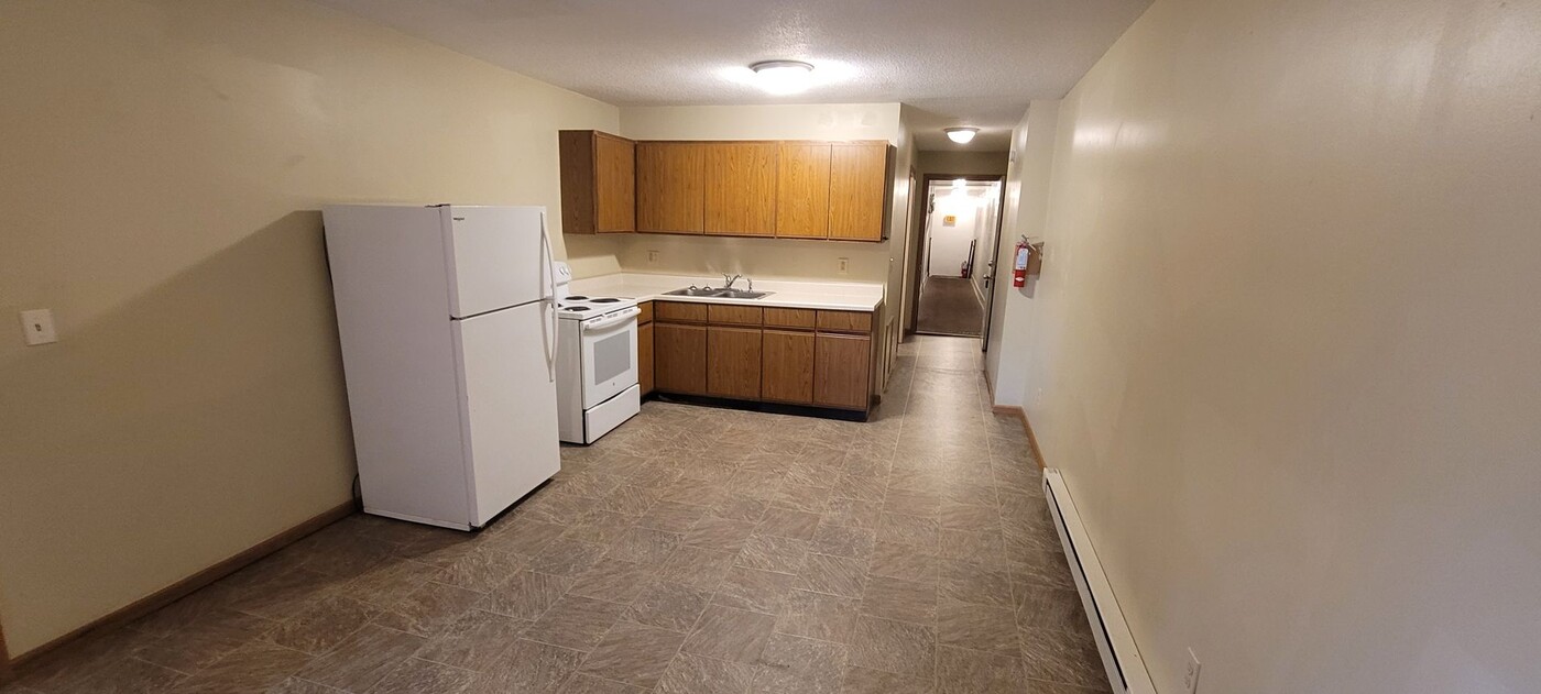223 3rd St NW in Bemidji, MN - Foto de edificio