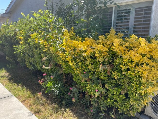 property at 6914 McLaren Ave