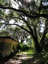 14509 E County Road 325 in Hawthorne, FL - Building Photo - Building Photo