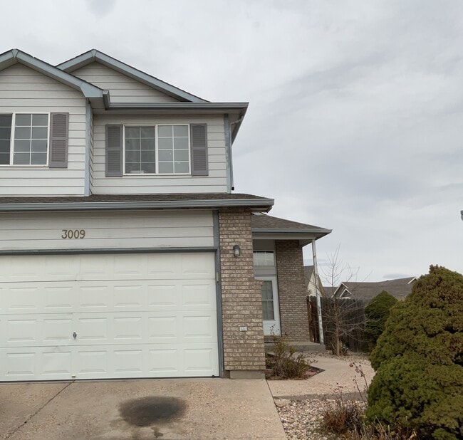 property at 3009 Armadillo Ct
