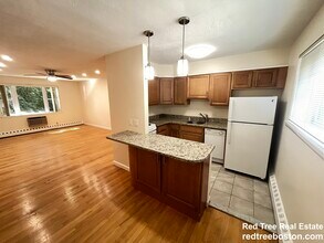 59 Parkman St in Brookline, MA - Building Photo - Building Photo