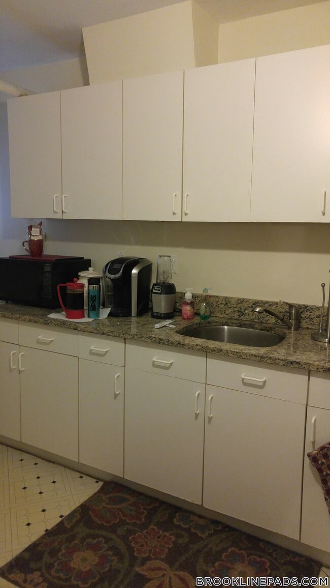 208 Winthrop Rd in Brookline, MA - Building Photo - Building Photo