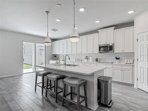 32544 Sapna Chime Dr in Wesley Chapel, FL - Building Photo - Building Photo