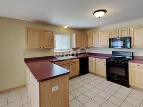 916 Mazalin Dr in Shorewood, IL - Building Photo - Building Photo