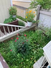 630 Longfellow Dr in Branford, CT - Building Photo - Building Photo