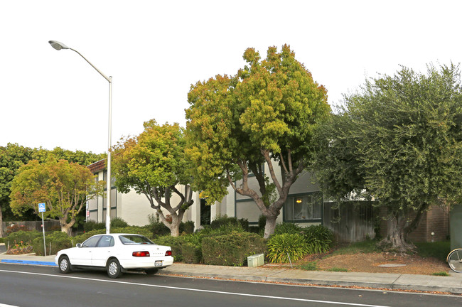 1360 Calabazas Ct in Santa Clara, CA - Building Photo - Building Photo